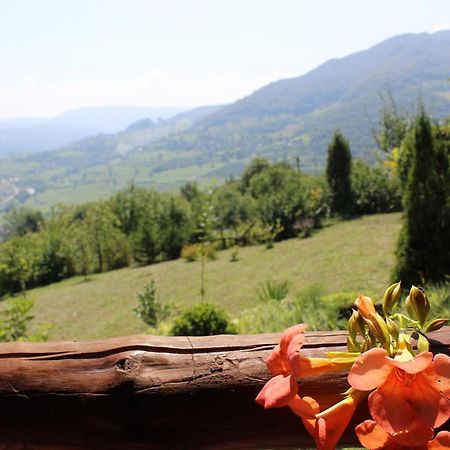 Visoko Gorani Cottage Εξωτερικό φωτογραφία