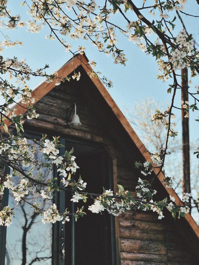 Visoko Gorani Cottage Εξωτερικό φωτογραφία