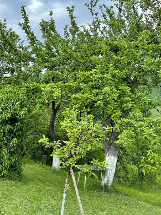 Visoko Gorani Cottage Εξωτερικό φωτογραφία
