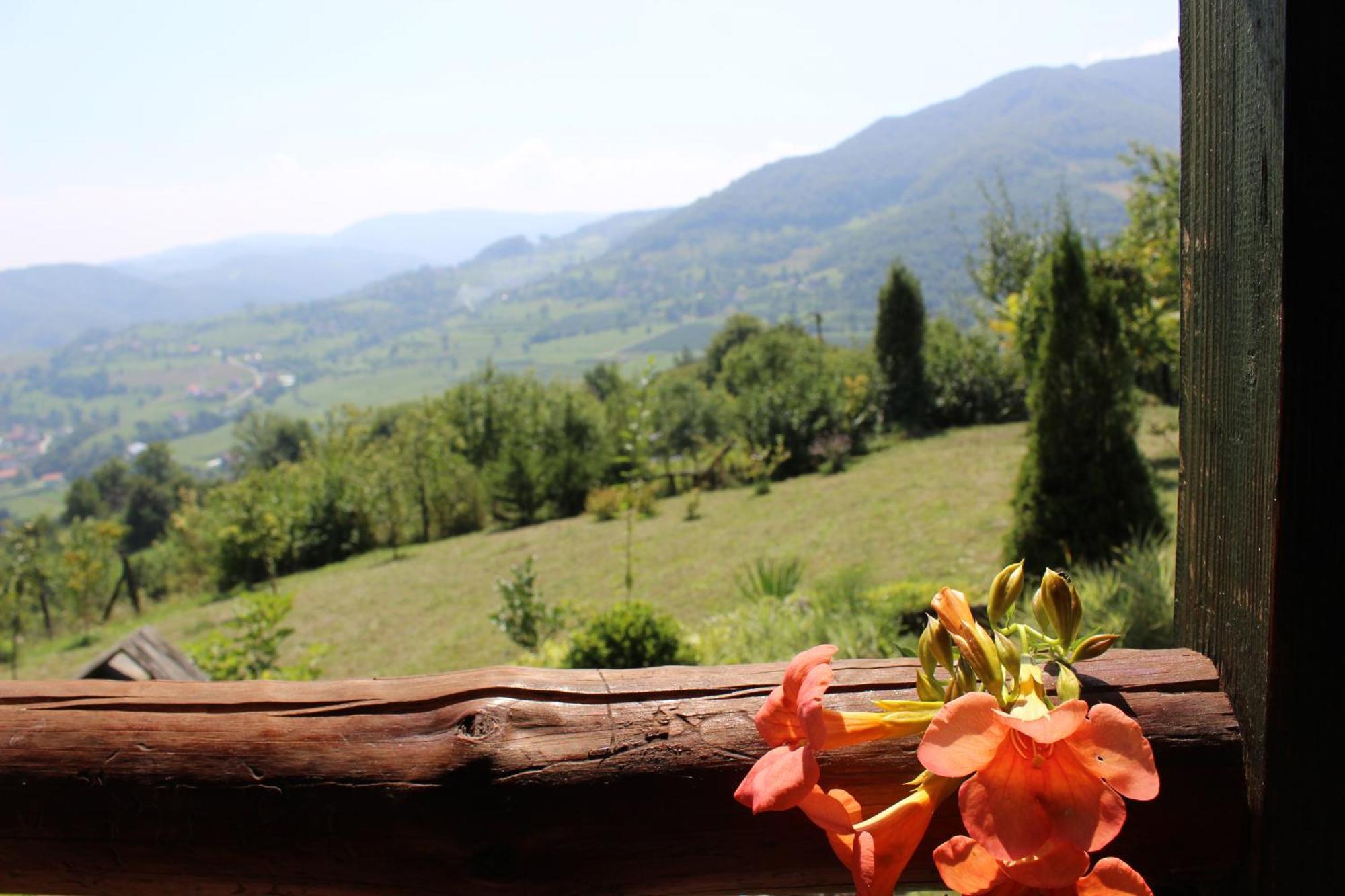 Visoko Gorani Cottage Εξωτερικό φωτογραφία