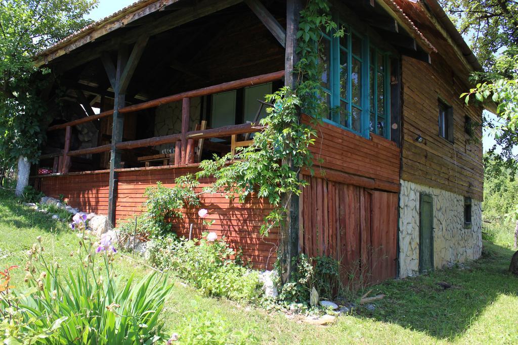 Visoko Gorani Cottage Εξωτερικό φωτογραφία